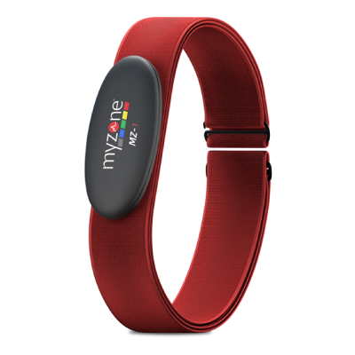 does myzone work with fitbit
